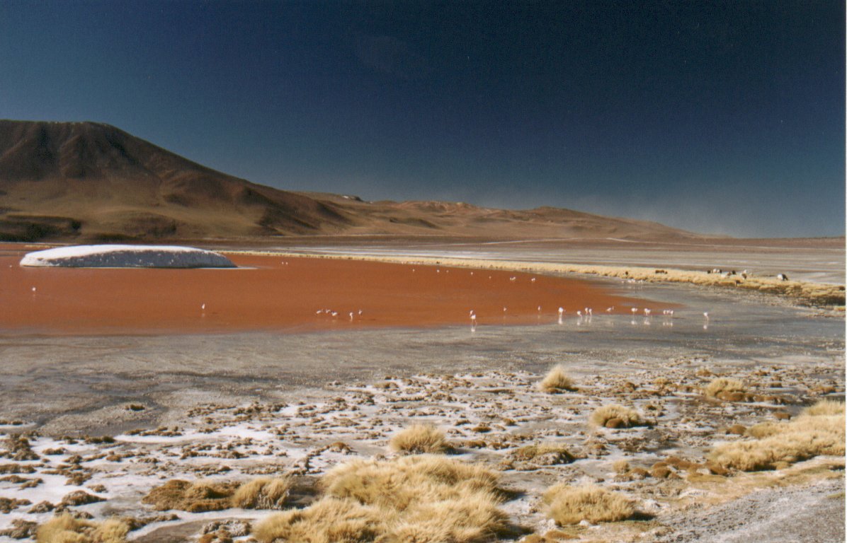 Laguna Colorada