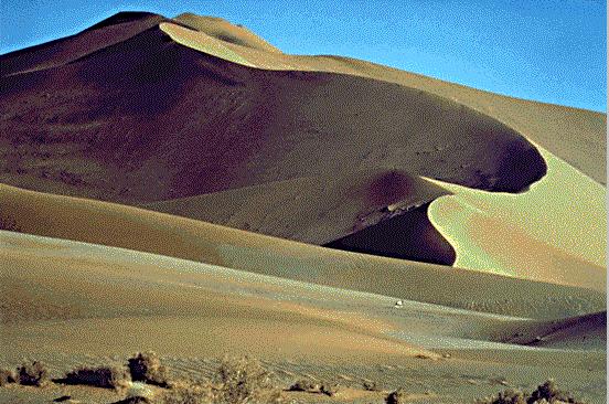 Namib Desert