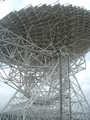 
Dish and lower structure.
