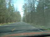 
Nice forested highway in VA, heading to Dulles
