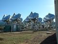 BIMA array